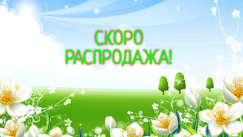 новинки
